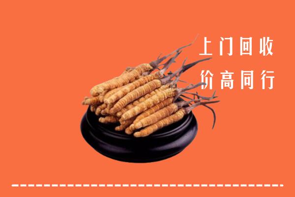 收购行情：吉县回收散虫草